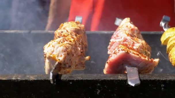 Shish kebab cooked on the grill in nature. Street food. Meat grilled on skewers — Stock Video
