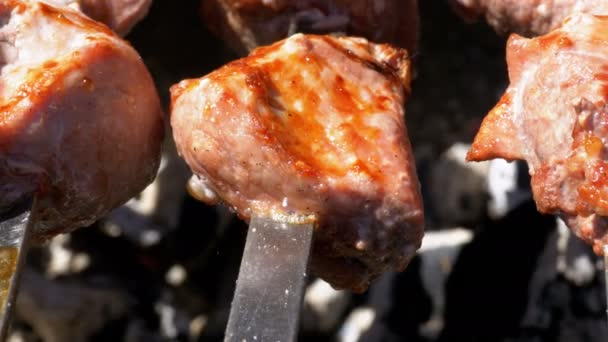 Dönerspieß Der Der Natur Auf Dem Grill Zubereitet Wird Streetfood — Stockvideo