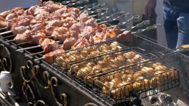 Dönerspieße und Pilze werden in der Natur auf dem Grill gekocht — Stockvideo