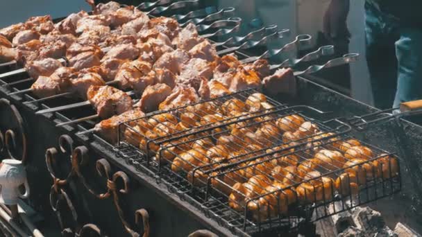 Shish kebab y champiñones se cocinan en la parrilla en la naturaleza — Vídeo de stock