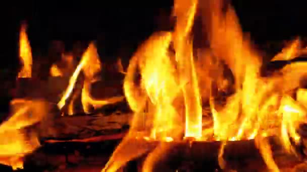 Feu de camp dans la nuit. Grumes brûlantes dans les flammes orange — Video