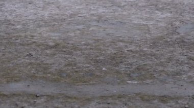 Yağmur damlaları bir su birikintisi şekillendirme kaldırım düşmek. Zaman atlamalı