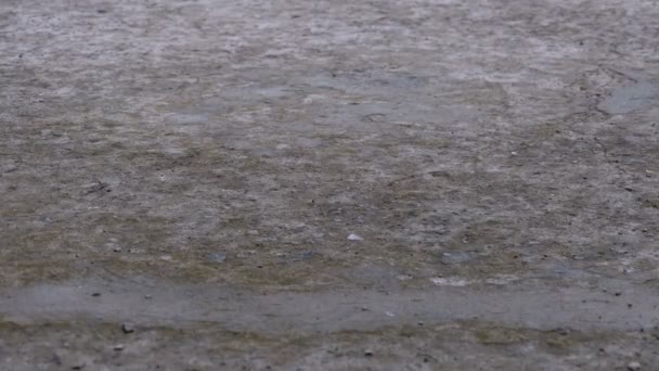 Drops of Rain Fall to the Pavement Forming a Puddle. Délai imparti 