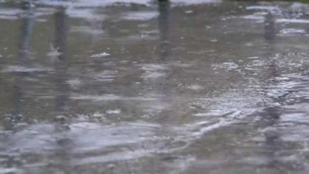 Краплі дощу падають на тротуарі, утворюючи калюжі — стокове відео