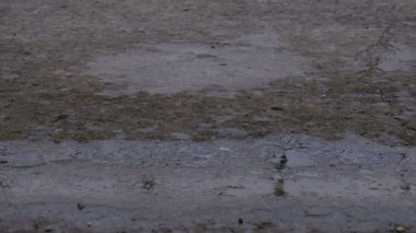 Yağmur damlaları bir su birikintisi şekillendirme kaldırım düşmek