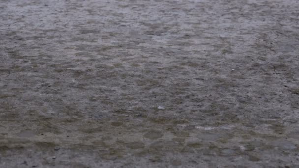 Des gouttes de pluie tombent sur la chaussée pour former une flaque d'eau — Video