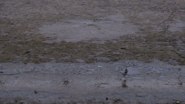 Des gouttes de pluie tombent sur la chaussée pour former une flaque d'eau 