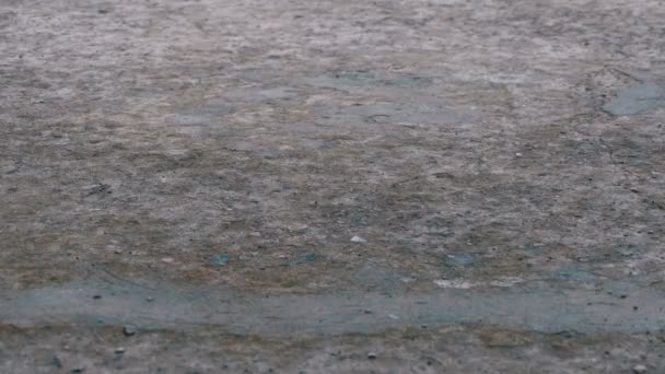 Σταγόνες της βροχής πέφτουν στο πεζοδρόμιο που σχηματίζουν μια λακκούβα. Πάροδο του χρόνου — Αρχείο Βίντεο