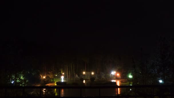 Gewitter in der Nacht. Blitze zucken in den Nachthimmel über dem Park in der Stadt — Stockvideo