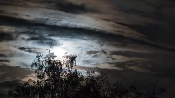 Úplněk se pohybuje na noční obloze přes temné mraky a stromy. Časová prodleva. — Stock video