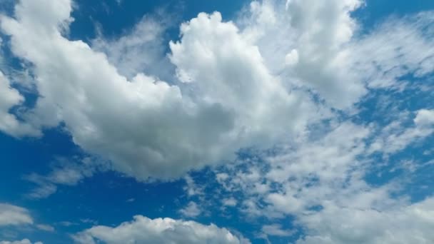 Molnen rör sig i den blå himlen. Tidsfördröjning — Stockvideo