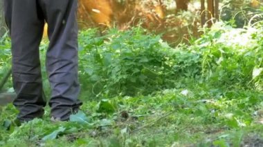 Adam Mows yavaş çekimde taşınabilir bir çim biçme makinesi kullanarak çimen