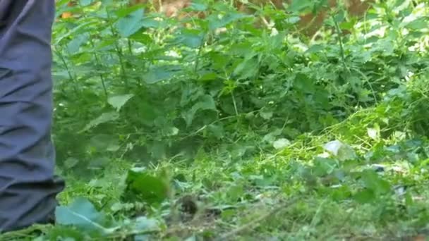 Człowiek kosi trawę przy użyciu przenośnych kosiarki w zwolnionym tempie — Wideo stockowe