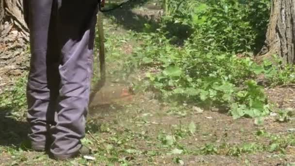 Homem corta grama usando um cortador de grama portátil em câmera lenta — Vídeo de Stock