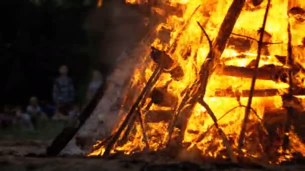 Gran hoguera de las ramas arde en la noche en el bosque en el fondo de la gente — Vídeos de Stock