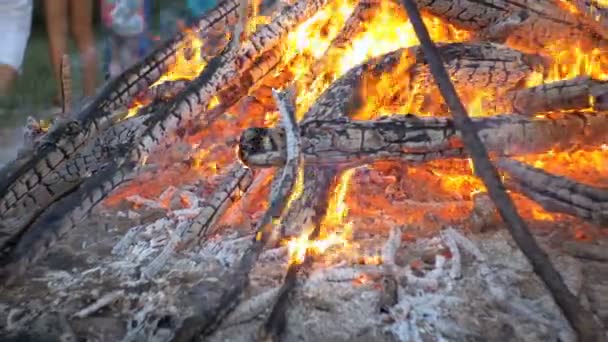 Μεγάλο Campfire από κλαδιά καίνε τη νύχτα στο δάσος — Αρχείο Βίντεο