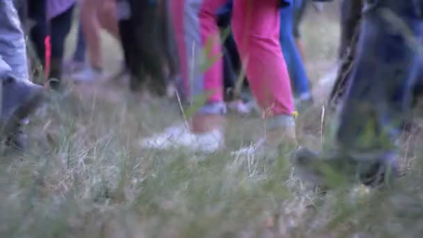 Ноги толпы людей, идущих по тропинке в лесу вечером — стоковое видео
