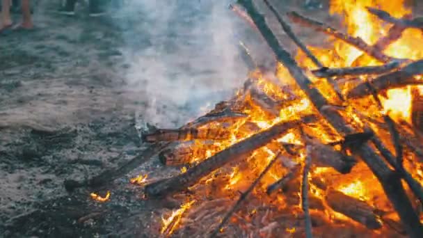 从分支烧伤在晚上在森林里的篝火 — 图库视频影像