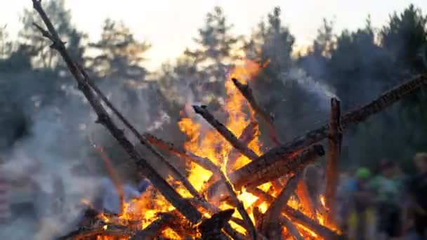 Duże ognisko palić oddziałów w nocy w lesie, na tle ludzi — Wideo stockowe