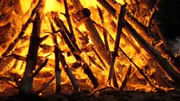 Gran fogata de las ramas queman en la noche en el bosque — Vídeo de stock