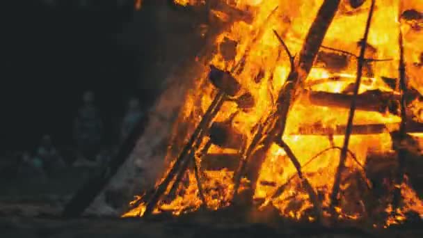 Grande falò dei rami bruciano di notte nella foresta sullo sfondo delle persone — Video Stock