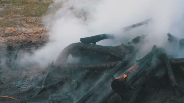 Extinguir um fogo com água por uma mangueira de fogo — Vídeo de Stock