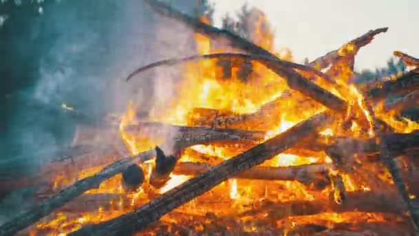 Grote kampvuur uit takken branden 's nachts in het bos — Stockvideo