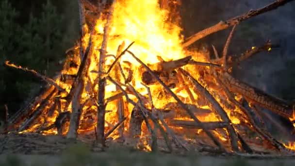 森の夜の枝書き込みから大きなキャンプファイヤー — ストック動画
