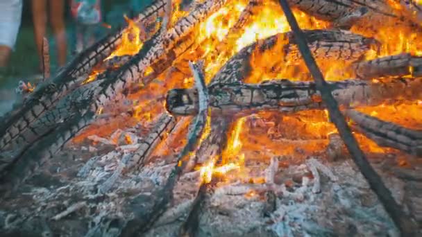 Grote kampvuur uit takken branden 's nachts in het bos — Stockvideo