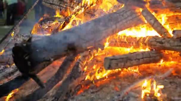 숲에서 밤에 분기 화상에서 큰 모닥불 — 비디오