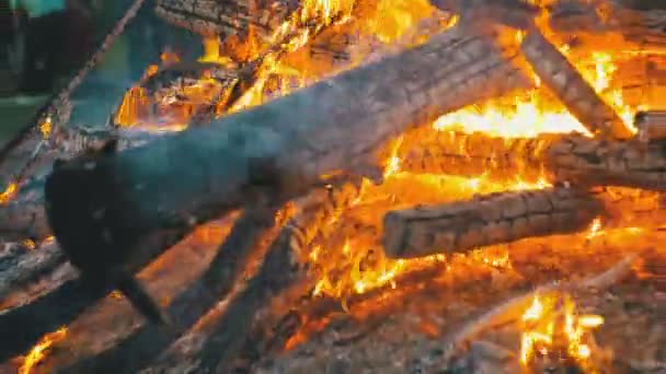 Gran fogata de las ramas queman en la noche en el bosque — Vídeo de stock