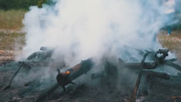 Extingue un fuego con agua por una manguera de fuego — Vídeo de stock