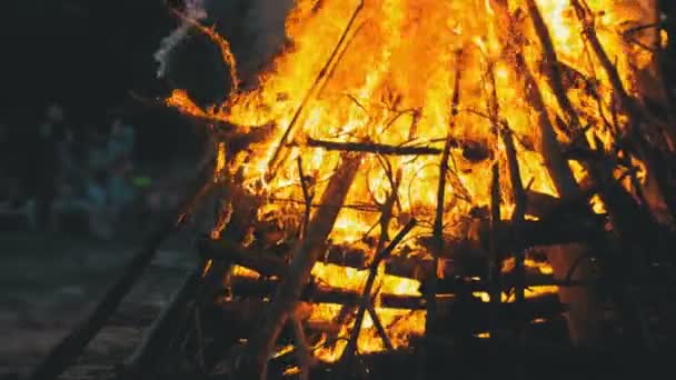 Большой костер ветвей горит ночью в лесу на фоне людей — стоковое видео