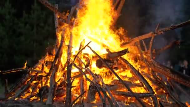 Μεγάλο Campfire από κλαδιά καίνε τη νύχτα στο δάσος — Αρχείο Βίντεο