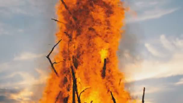 Langues Flamme d'un grand feu dans la soirée contre le ciel 