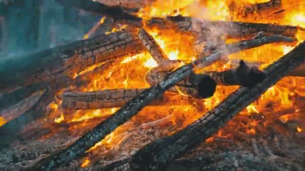 Gran fogata de las ramas queman en la noche en el bosque — Vídeos de Stock