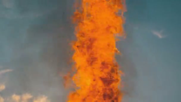 Línguas Chama de um grande fogo na noite contra o céu — Vídeo de Stock