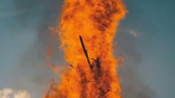 Tungor lågan av en stor brand i kvällen mot himlen — Stockvideo