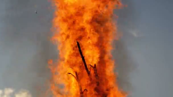 Tungor lågan av en stor brand i kvällen mot himlen — Stockvideo