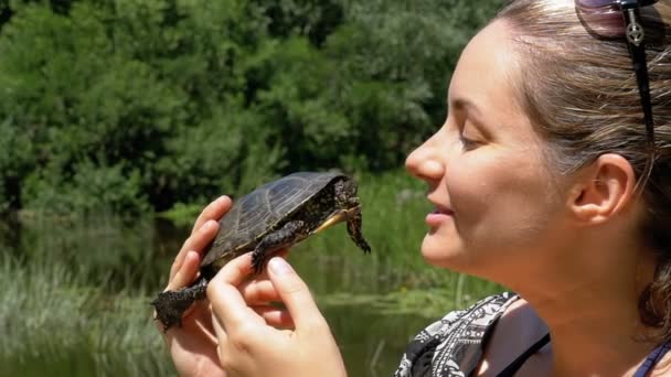 Γυναίκα κρατά μια μικρή χελώνα ποταμών στα χέρια της κοντά πρόσωπο στη φύση. Αργή κίνηση — Αρχείο Βίντεο