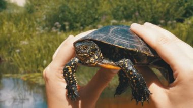 Nehrin bir arka plan üzerinde kadın elinde küçük nehir kaplumbağa