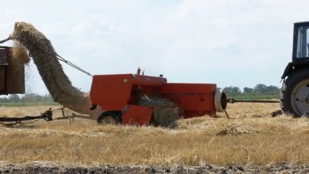 Żniwa pszenicy. Połączyć rozładunku pszenicy do przyczepy ciągnika podczas zbiorów. — Wideo stockowe