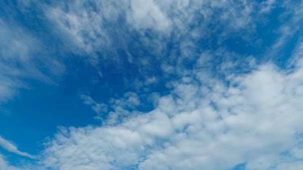 Molnen rör sig i den blå himlen. Tidsfördröjning — Stockvideo