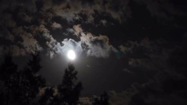 Luna piena si muove nel cielo notturno attraverso nuvole scure e alberi. Scadenza temporale . — Video Stock