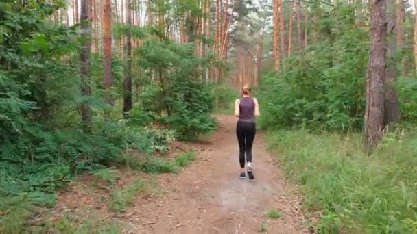 Vue aérienne du dos à la jeune femme qui traverse le sentier forestier Pine Tee — Video