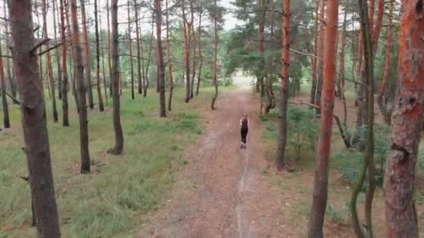 Flygfoto från baksidan till den unga kvinnan som går genom tall Tee skogsstigen — Stockvideo