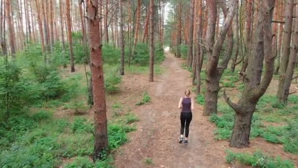 Letecký pohled zezadu k mladé ženě, která vede přes borovice Tee lesní cesty — Stock video