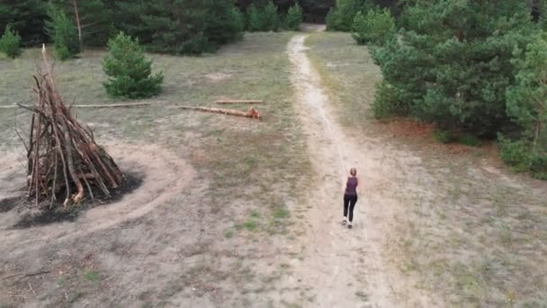 Letecký pohled zezadu k mladé ženě, která vede přes borovice Tee lesní cesty — Stock video