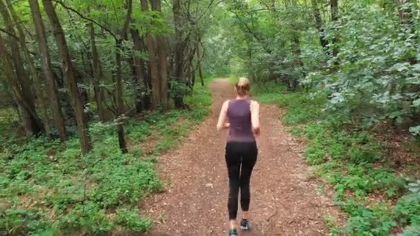 Vista aérea das costas para a jovem mulher que corre ao longo do caminho em uma floresta espessa de pinheiro — Vídeo de Stock