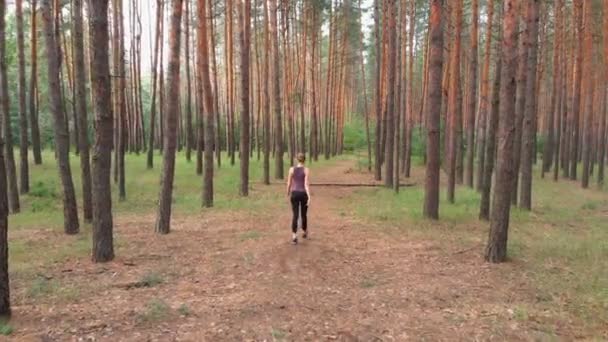 Vue aérienne du dos à la jeune femme qui longe le sentier dans une forêt épaisse de pins — Video